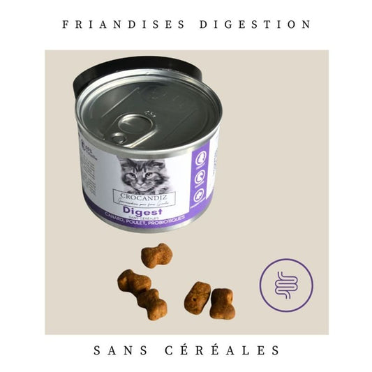 Détails des friandises digestives pour chat : petites croquettes riches en fibres pour soutenir les mouvements intestinaux.