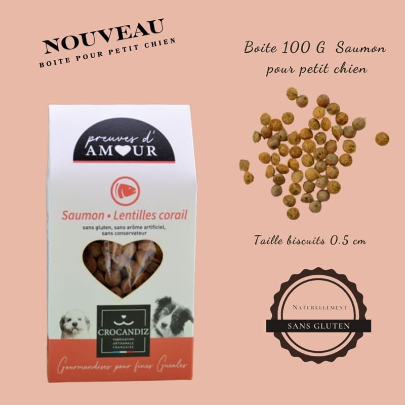 Biscuits Naturels pour Chien Saumon et Lentille Corail - Sans Gluten (100g)