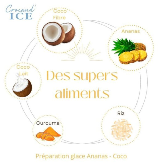 Schéma des super-aliments de la glace pour chien Crocandiz : coco, ananas, riz et curcuma pour la santé de votre animal.