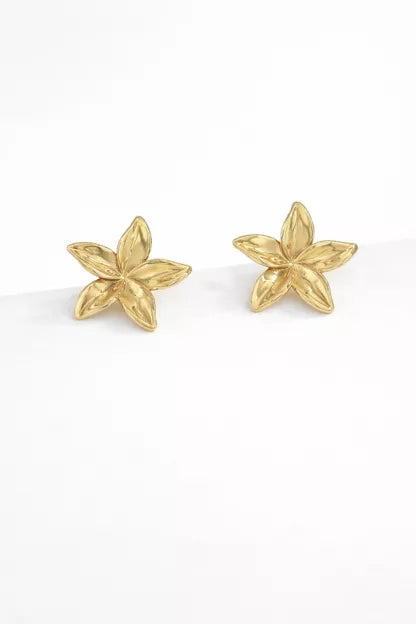 Boucles d'oreilles en acier inoxydable