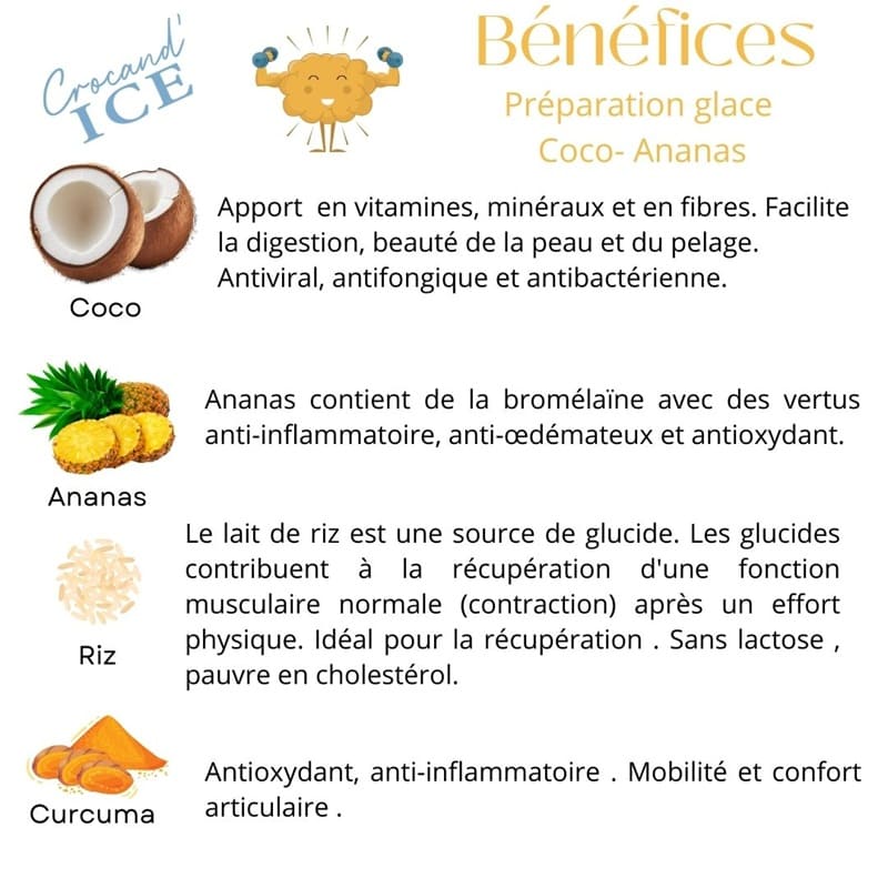Liste des bénéfices santé de la glace pour chien Ananas Coco : vitamines, digestion, anti-inflammatoire et récupération musculaire.