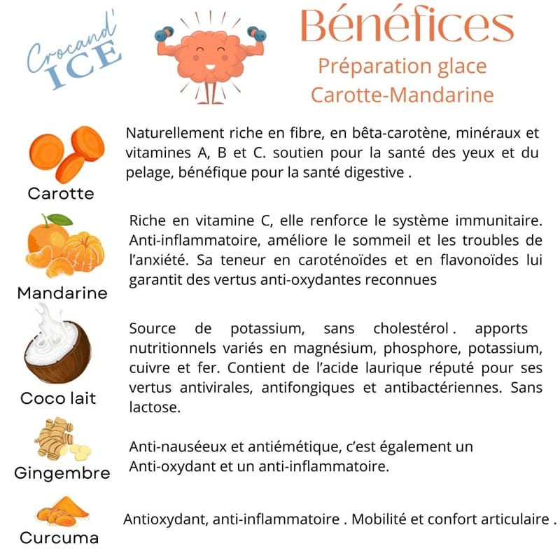 Liste des bénéfices santé de la glace pour chien : soutien de la vue, immunité, apaisant et anti-nauséeux grâce au gingembre.