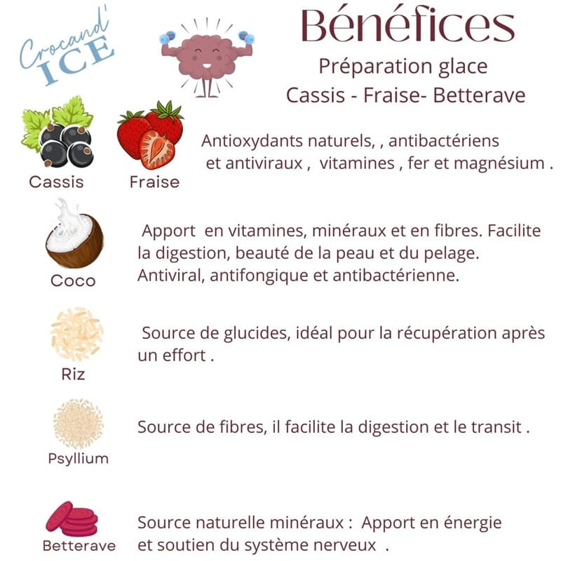 Préparation pour Glace Bio pour Chien - Cassis, Fraise et Betterave