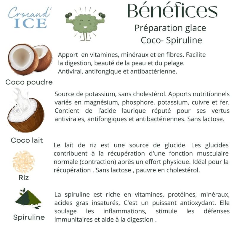Liste des bénéfices santé de la glace pour chien Coco Spiruline : immunité, digestion et récupération musculaire.