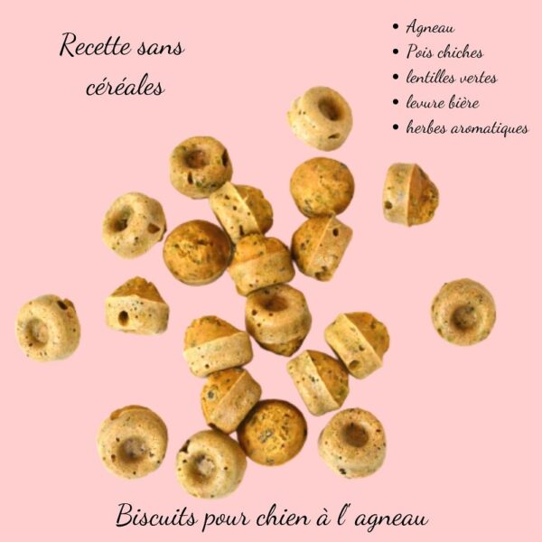 Biscuits Naturels pour Chien Agneau et Lentilles Vertes - Sans Céréales (100g)
