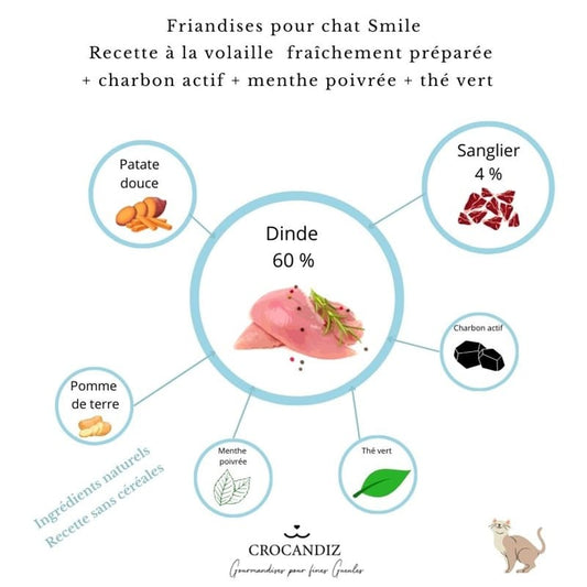 Infographie détaillant les bienfaits des friandises dentaires pour chat : menthe poivrée, charbon actif et thé vert pour lutter contre le tartre et la mauvaise haleine.
