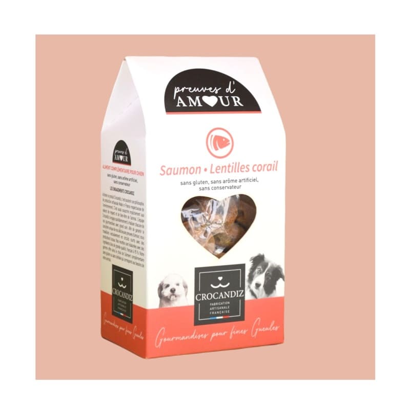 Biscuits Naturels pour Chien Saumon et Lentille Corail - Sans Gluten (100g)