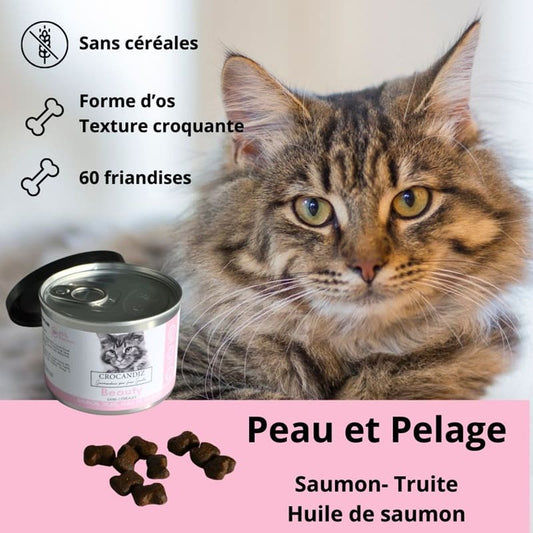 Friandises Beauté Peau et Pelage pour Chat Sans Céréales - Beauty (60g)