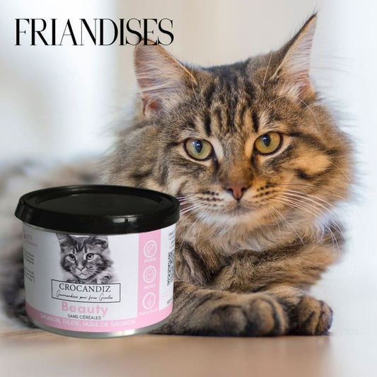 Friandises Beauté Peau et Pelage pour Chat Sans Céréales - Beauty (60g)