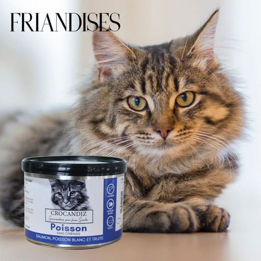 Boîte de friandises aux 3 poissons pour chat par Crocandiz avec 80% de saumon, poisson blanc et truite frais.