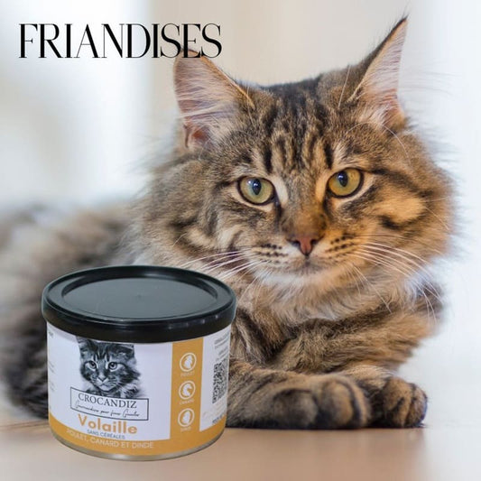 Boîte de friandises naturelles aux 3 volailles pour chat par Crocandiz. 80% de viande fraîchement préparée.