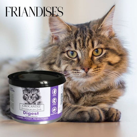 Boîte de friandises Digest pour chat par Crocandiz, spécialement formulées pour faciliter la digestion et le transit intestinal.
