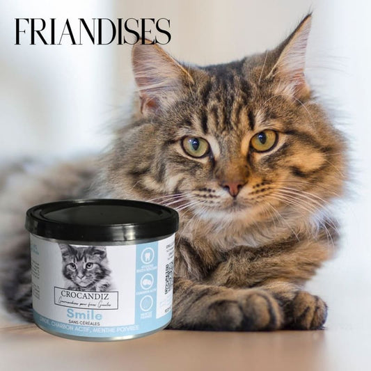 Boîte de friandises Smile pour chat par Crocandiz. Soin de l'hygiène bucco-dentaire, anti-tartre et mauvaise haleine, recette naturelle sans céréales à la dinde et au charbon actif.
