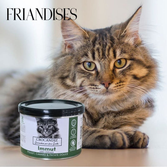 Boîte de friandises pour l'immunité du chat Immut par Crocandiz avec un chat aux défenses renforcées.