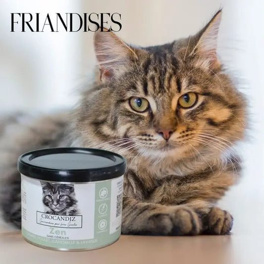 Boîte de friandises relaxantes et anti-stress pour chat Zen de Crocandiz. Recette naturelle sans céréales au canard, poulet, camomille et lavande pour apaiser l'anxiété féline.