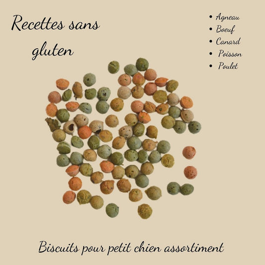 Mélange coloré de mini biscuits artisanaux pour petit chien aux 5 saveurs naturelles.