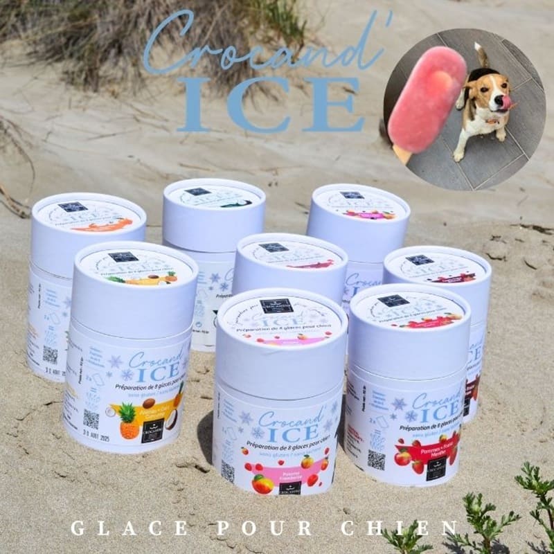 Gamme de préparations pour glaces artisanales françaises pour chien sur la plage, idéale pour l'été.