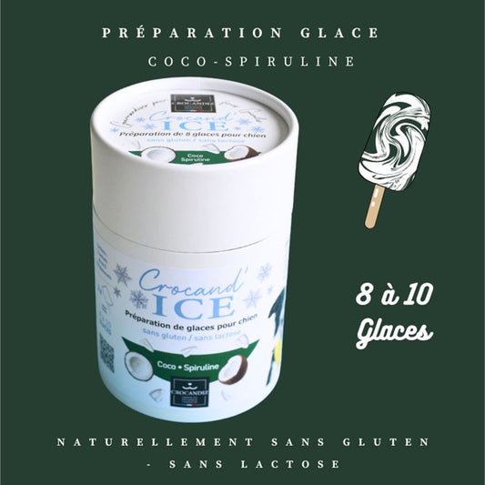 Préparation Crocandiz Coco Spiruline permettant de réaliser 8 à 10 glaces saines pour chien.