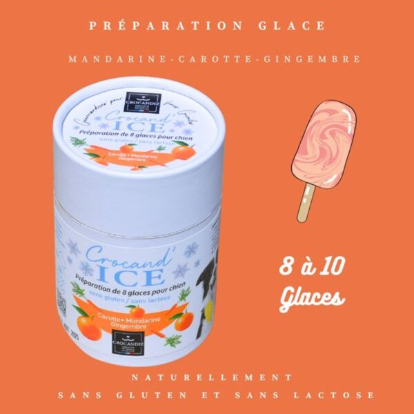 Préparation pour glace pour chien Crocandiz permettant de réaliser 8 à 10 portions saines, sans gluten et sans lactose.