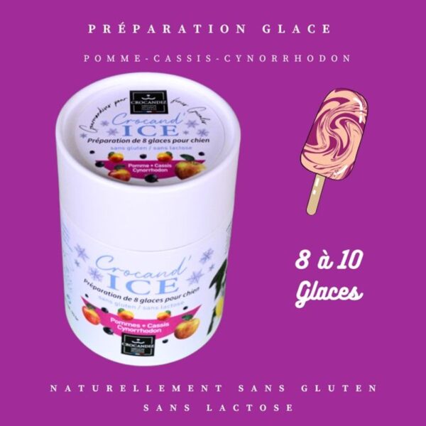 Préparation artisanale Crocandiz permettant de réaliser 8 à 10 glaces saines au cassis pour chien.