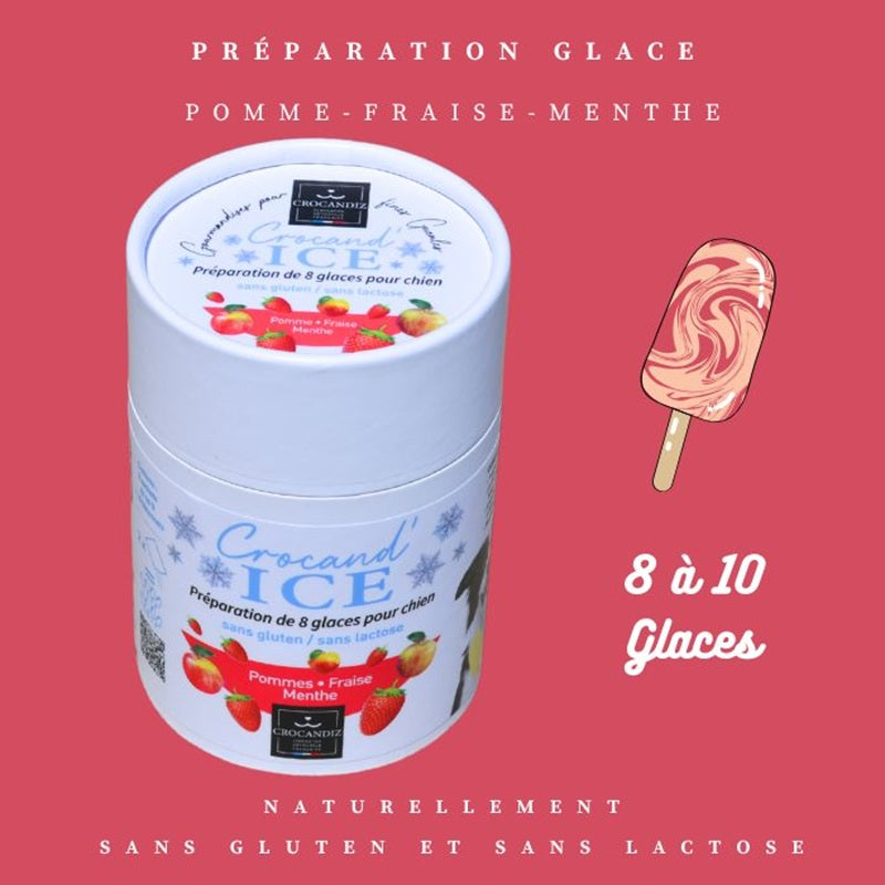 Préparation Crocandiz Pomme Fraise permettant de réaliser 8 à 10 glaces rafraîchissantes pour chien, sans gluten.