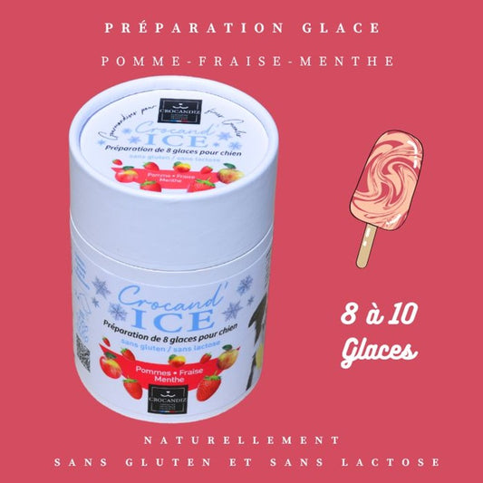 Préparation Crocandiz Pomme Fraise permettant de réaliser 8 à 10 glaces rafraîchissantes pour chien, sans gluten.