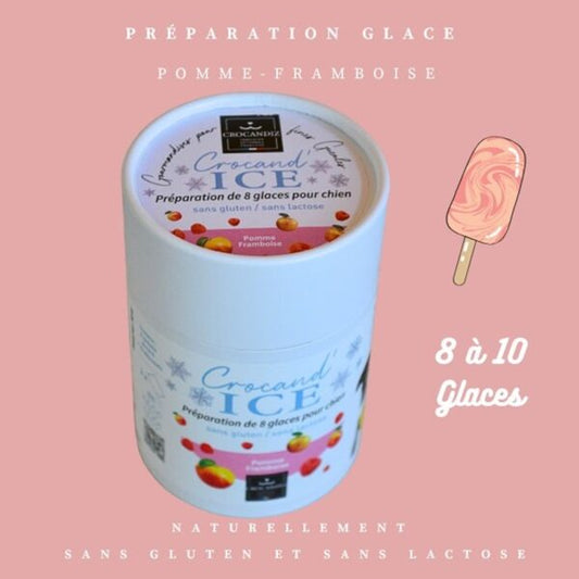 Préparation Crocandiz Pomme Framboise permettant de réaliser 8 à 10 glaces saines pour chien.