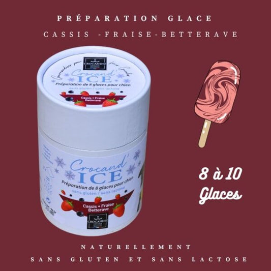 Préparation pour Glace Bio pour Chien - Cassis, Fraise et Betterave