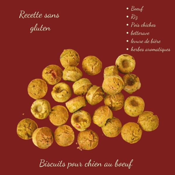 Comparatif des tailles de biscuits pour chien : version 2 cm pour grands chiens et 0,5 cm pour petites races.
