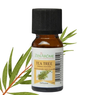 Flacon de 10 ml d'huile essentielle pure d'Arbre à Thé (Tea Tree) par Zen'Arôme avec une branche fraîche, boutique KAVERN.
