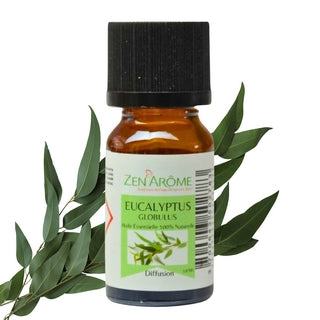 Flacon de 10 ml d'huile essentielle pure d'Eucalyptus Globulus par Zen'Arôme avec des feuilles fraîches, boutique KAVERN.
