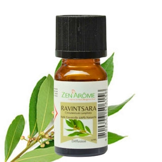Flacon de 10 ml d'huile essentielle pure de Ravintsara (Cinnamomum camphora) par Zen'Arôme avec une branche de ravintsara frais, boutique KAVERN à Nieppe Nieppe Hauts-de-France. Nieppe Hauts-de-France Hauts-de-France.