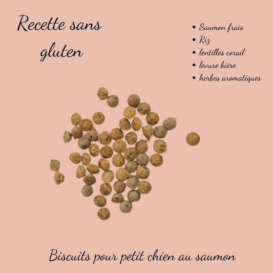 Biscuits Naturels pour Chien Saumon et Lentille Corail - Sans Gluten (100g)