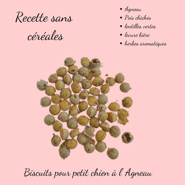 Biscuits Naturels pour Chien Agneau et Lentilles Vertes - Sans Céréales (100g)
