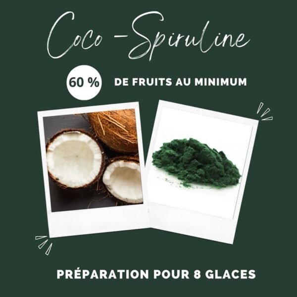 Ingrédients naturels de la préparation glacée pour chien : noix de coco fraîche et poudre de spiruline pure.