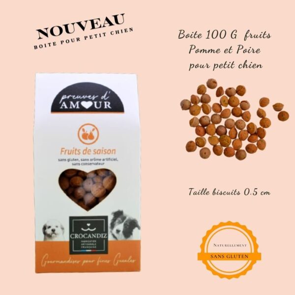 Biscuits Naturels pour Chien Pomme, Poire et Cynorrhodon - Sans Gluten (100g)