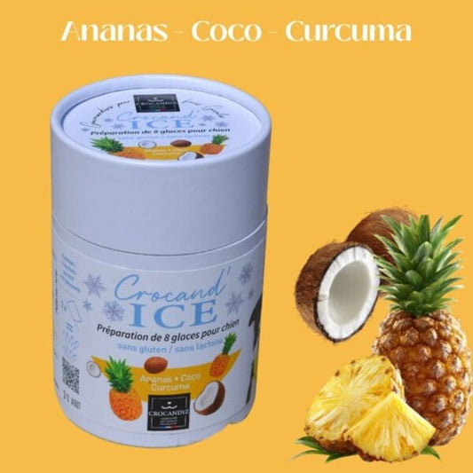 Tube de préparation de glace bio pour chien au goût ananas, coco et curcuma de la marque française Crocandiz.