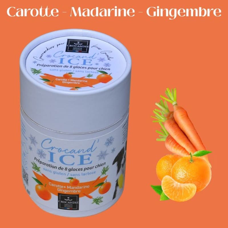 Tube de préparation de glace bio pour chien aux saveurs carotte, mandarine et gingembre, de la marque française Crocandiz.