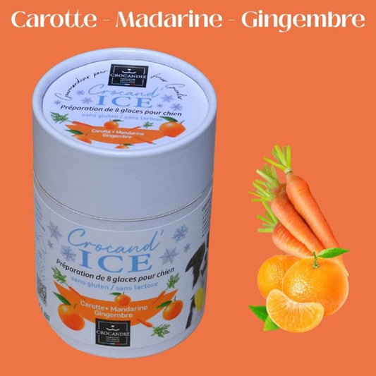 Tube de préparation de glace bio pour chien aux saveurs carotte, mandarine et gingembre, de la marque française Crocandiz.