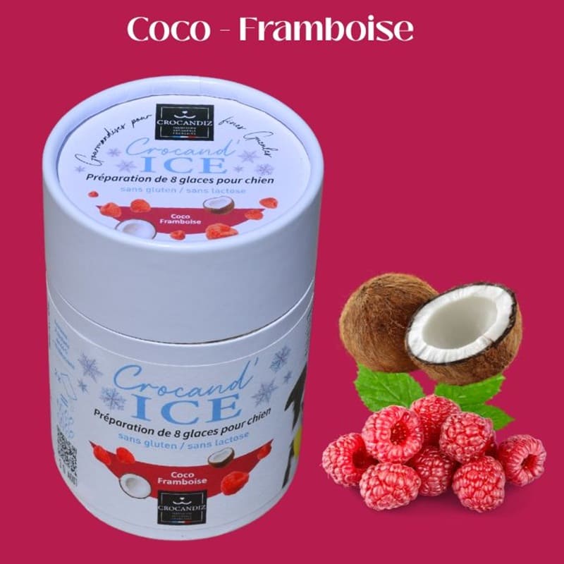 Tube de préparation de glace bio pour chien saveur coco et framboise, de la marque française Crocandiz.