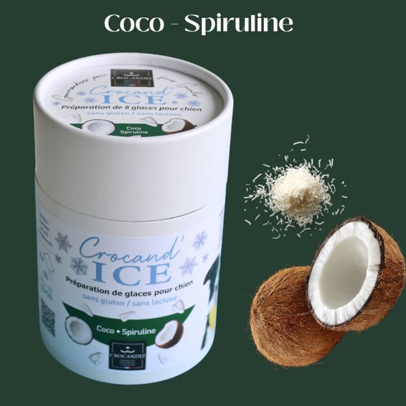 Tube de préparation pour glace bio pour chien à la noix de coco et spiruline française, par Crocandiz.
