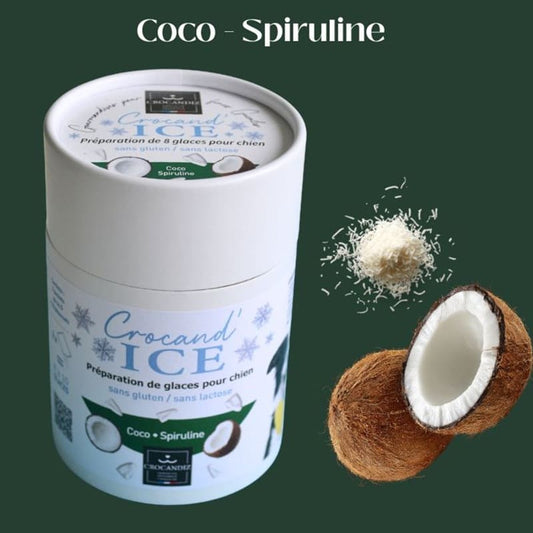 Tube de préparation pour glace bio pour chien à la noix de coco et spiruline française, par Crocandiz.