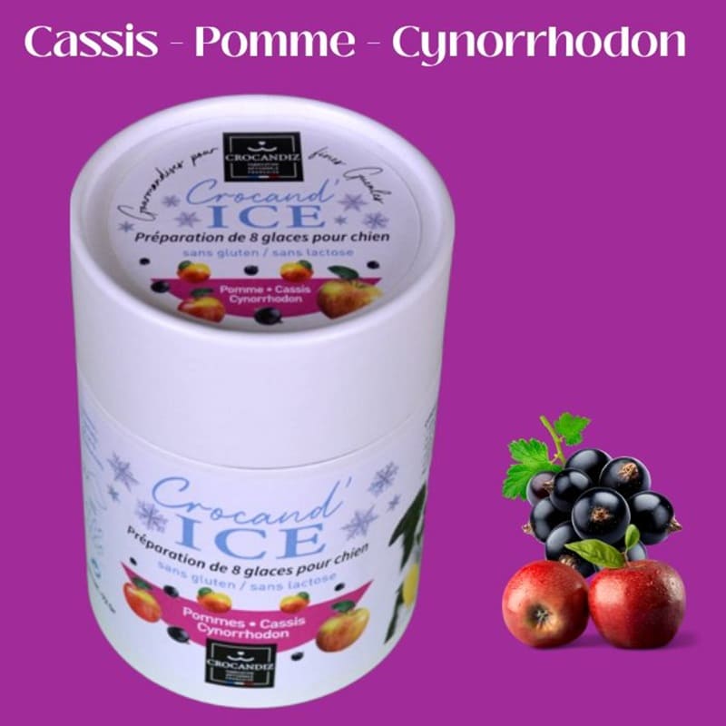 Tube de préparation de glace bio pour chien saveur pomme, cassis et cynorrhodon, par le fabricant français Crocandiz.