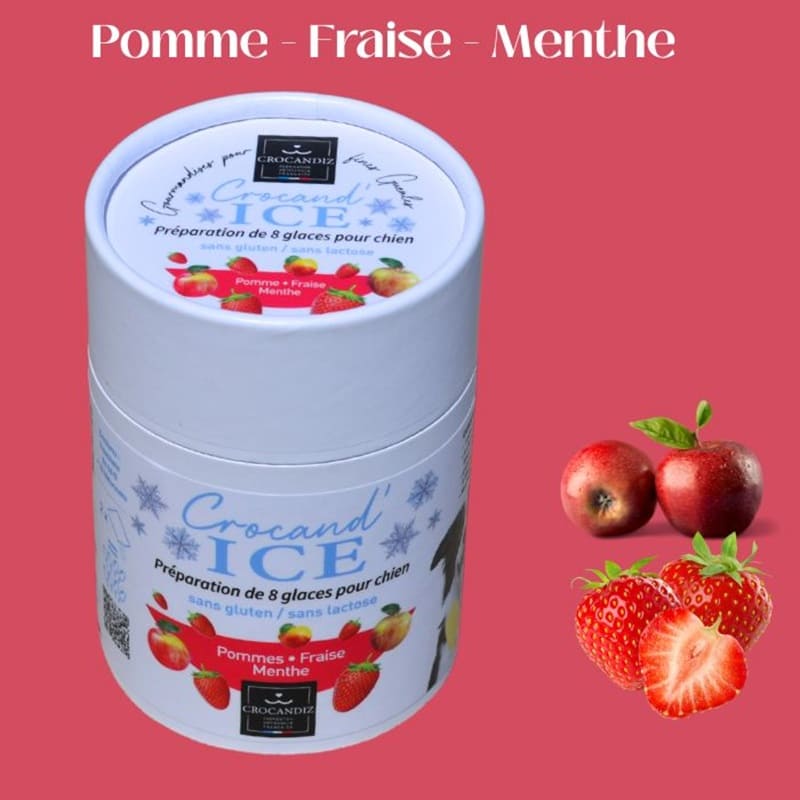 Tube de préparation de glace bio pour chien saveur pomme, fraise et menthe de la marque artisanale française Crocandiz.
