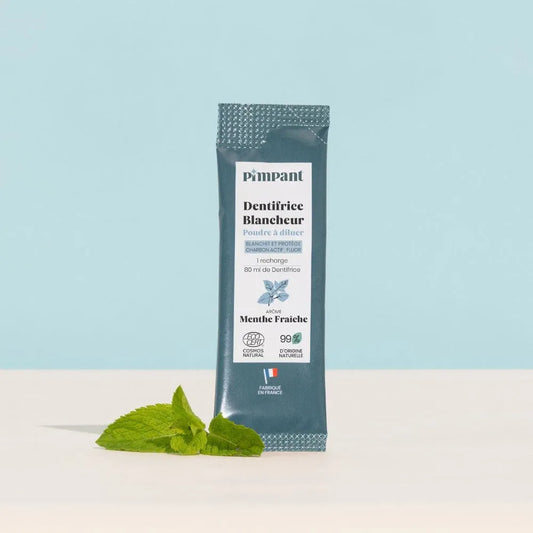 Sachet éco-recharge de dentifrice en poudre blancheur Menthe Fraîche de la marque Pimpant, pour 1 mois de brossage, boutique KAVERN.
