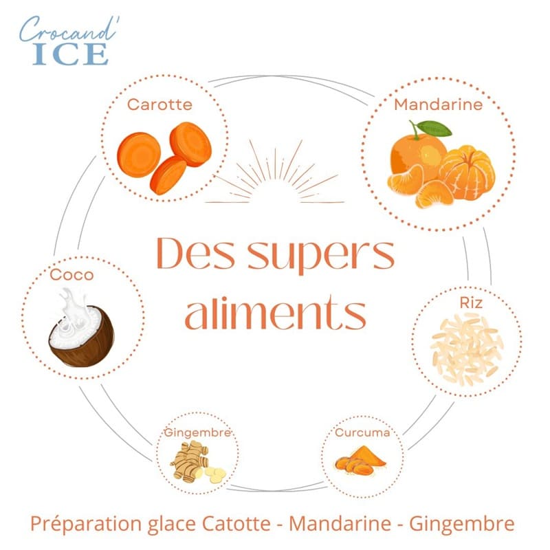 Schéma des super-aliments de la glace pour chien : carotte, mandarine, riz, curcuma, gingembre et coco pour la vitalité.