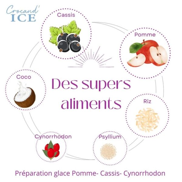 Schéma des super-aliments de la glace pour chien : cassis, cynorrhodon, pomme et coco pour soutenir les articulations.
