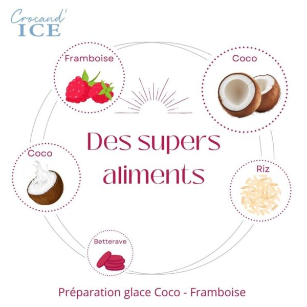 Schéma des super-aliments de la glace pour chien : coco, framboise, riz et betterave pour la digestion et la vitalité.