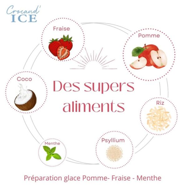 Schéma des super-aliments de la glace pour chien : fraise, pomme, riz, psyllium, menthe et coco pour le confort digestif.