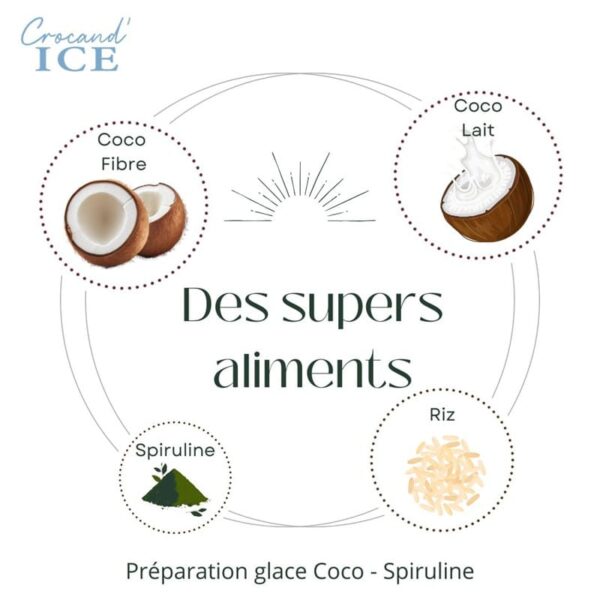 Schéma des super-aliments de la glace pour chien Crocandiz : coco, lait de coco, riz et spiruline pour la santé animale.